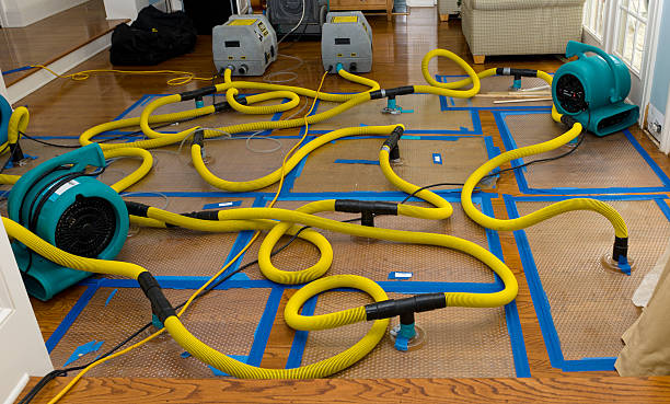 Professional Basement Flood Cleanup technician working in Bon Air, AL